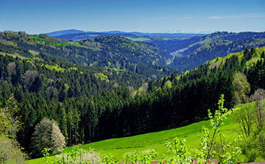 Bavarian forest scenery in the Ilz Valley, Germany